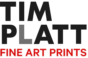 Tim Platt Fine Art